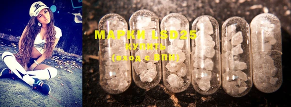 сатива Тайга