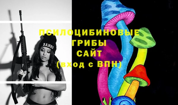 а пвп мука Тавда