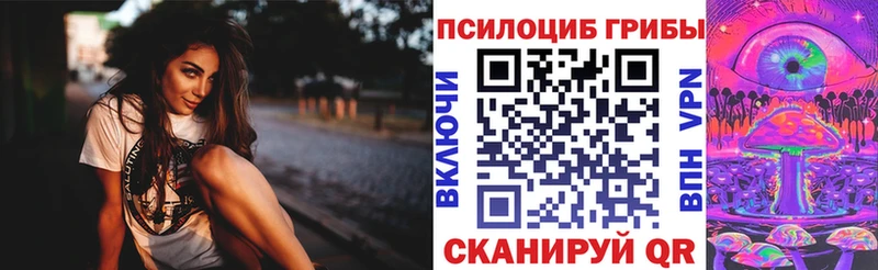 Псилоцибиновые грибы Psilocybe  Купить  Щёкино 